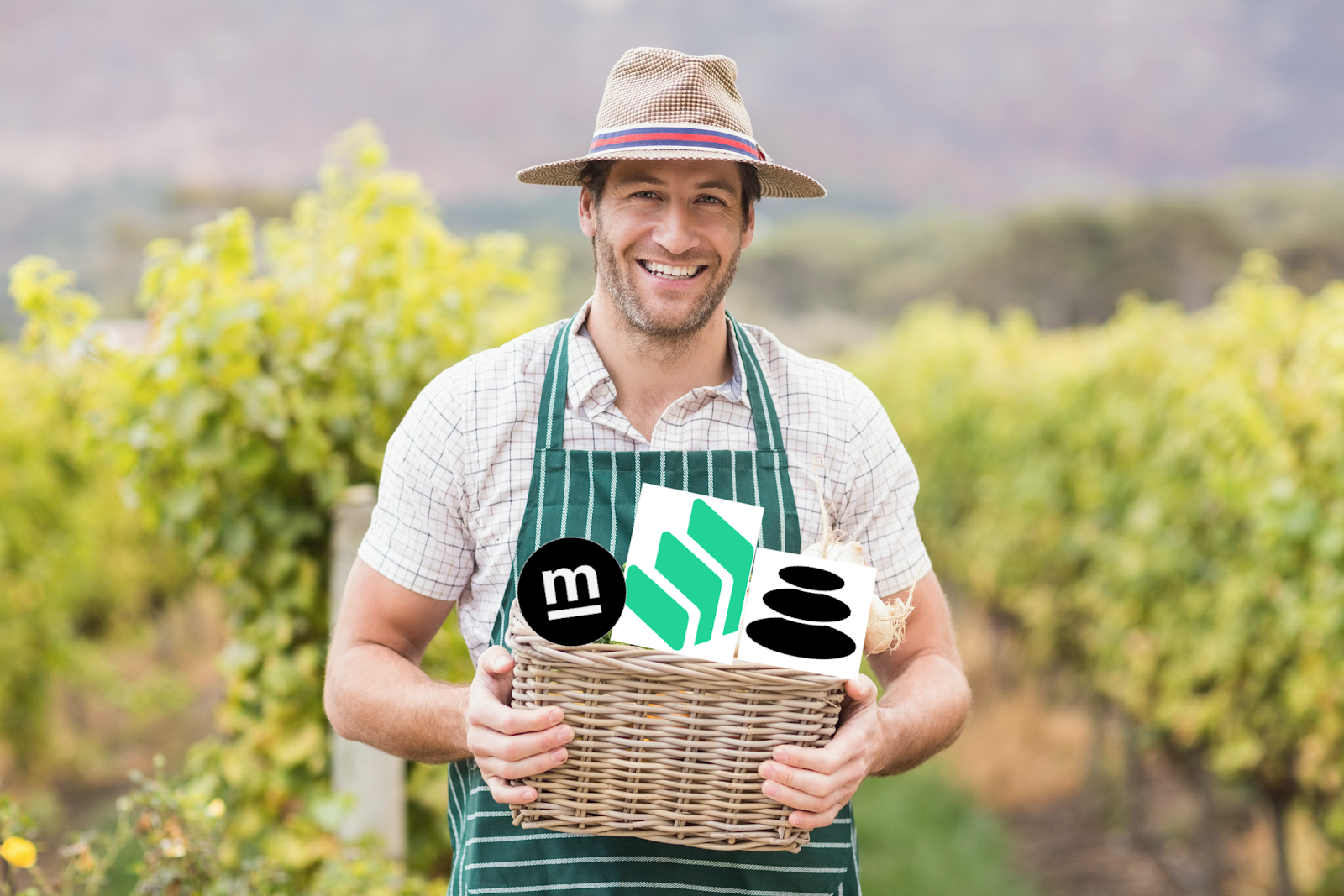 Risks on the Farm How to Yield Farm Safely